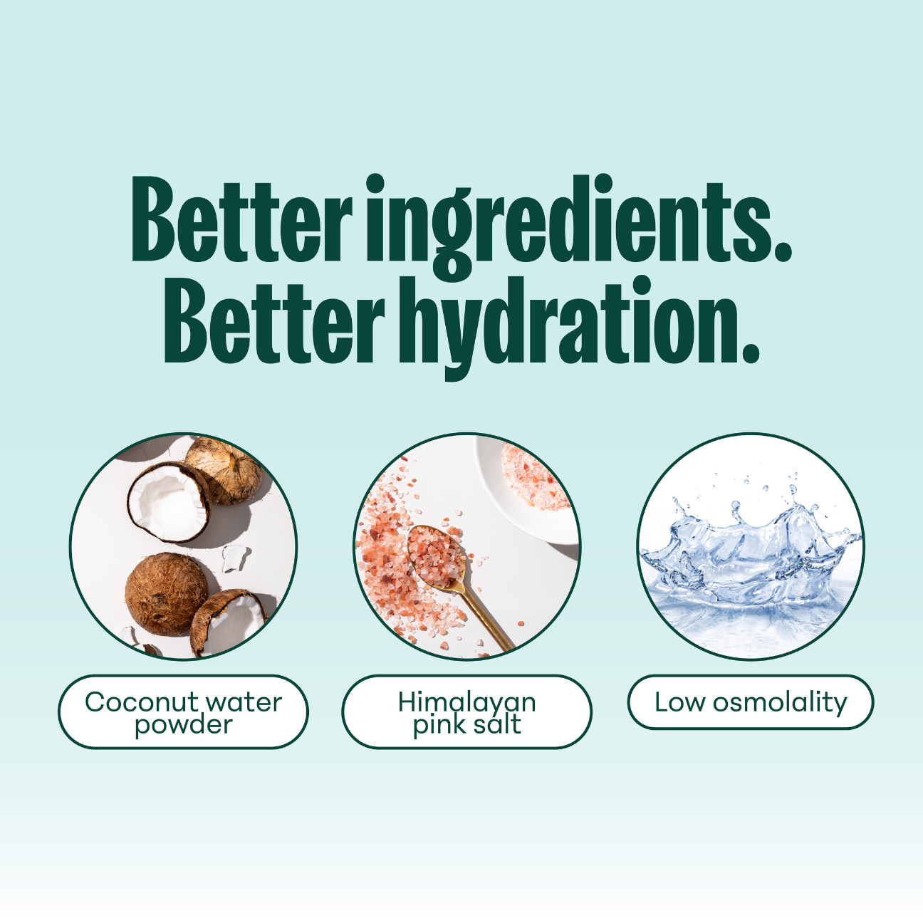 FREE Gift: Electrolyte 20-Pack