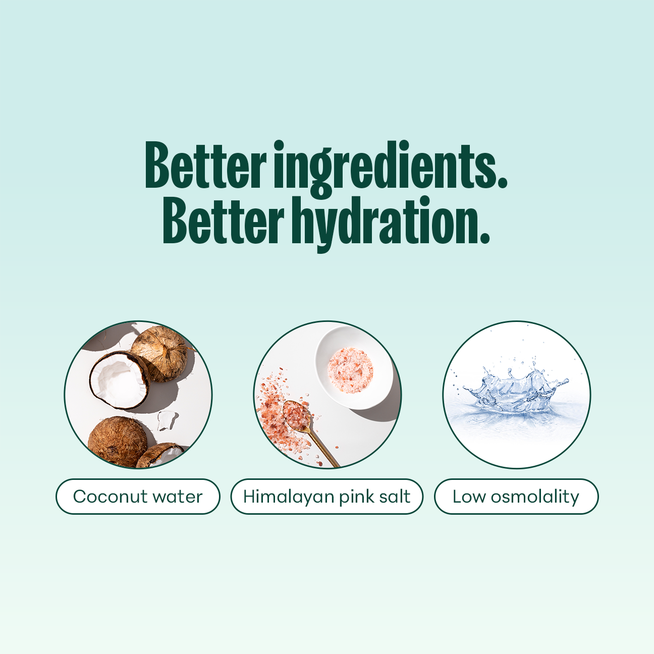 Variety Pack: Sports Drinks